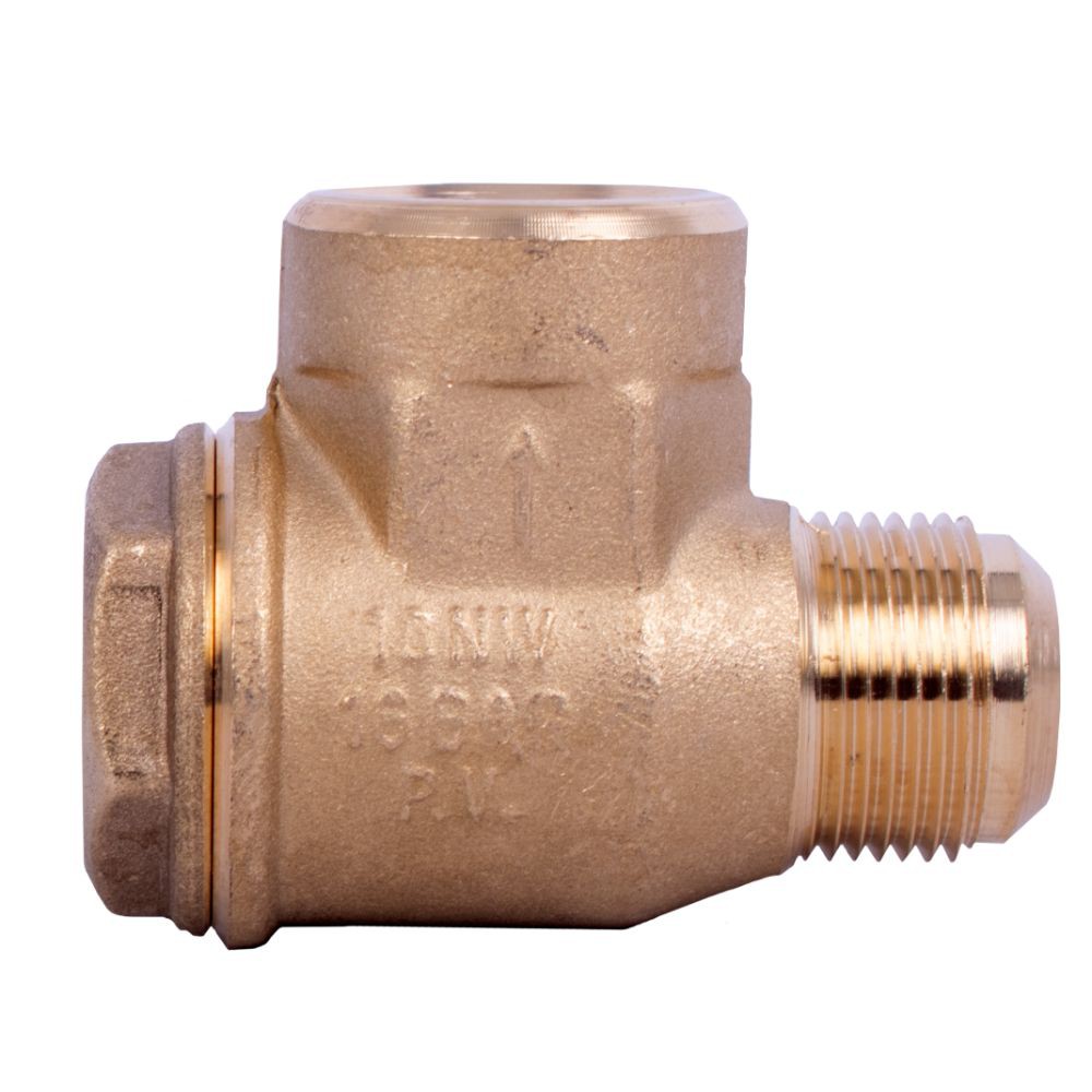NON-RETURN VALVE 1'F - 1'M